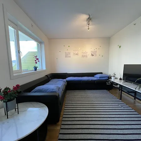 3 Sleeping For 82m2 Which Direct Traffic To Airport And Center * Bergen