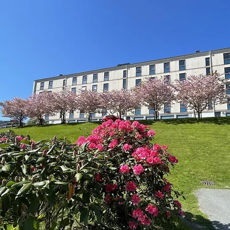 3 Sleeping For 82m2 Which Direct Traffic To Airport And Center Apartment