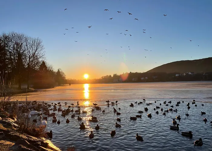 Apartamento 83m2-3 Sleeping Rooms-2 Balconies-direct Traffic To Airport And Tourist Places Bergen